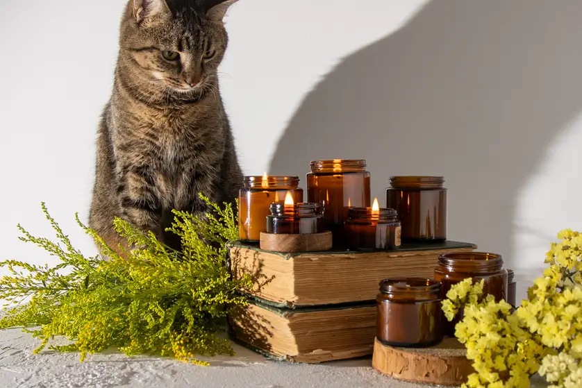 Are Soy Candles Safe For Cats